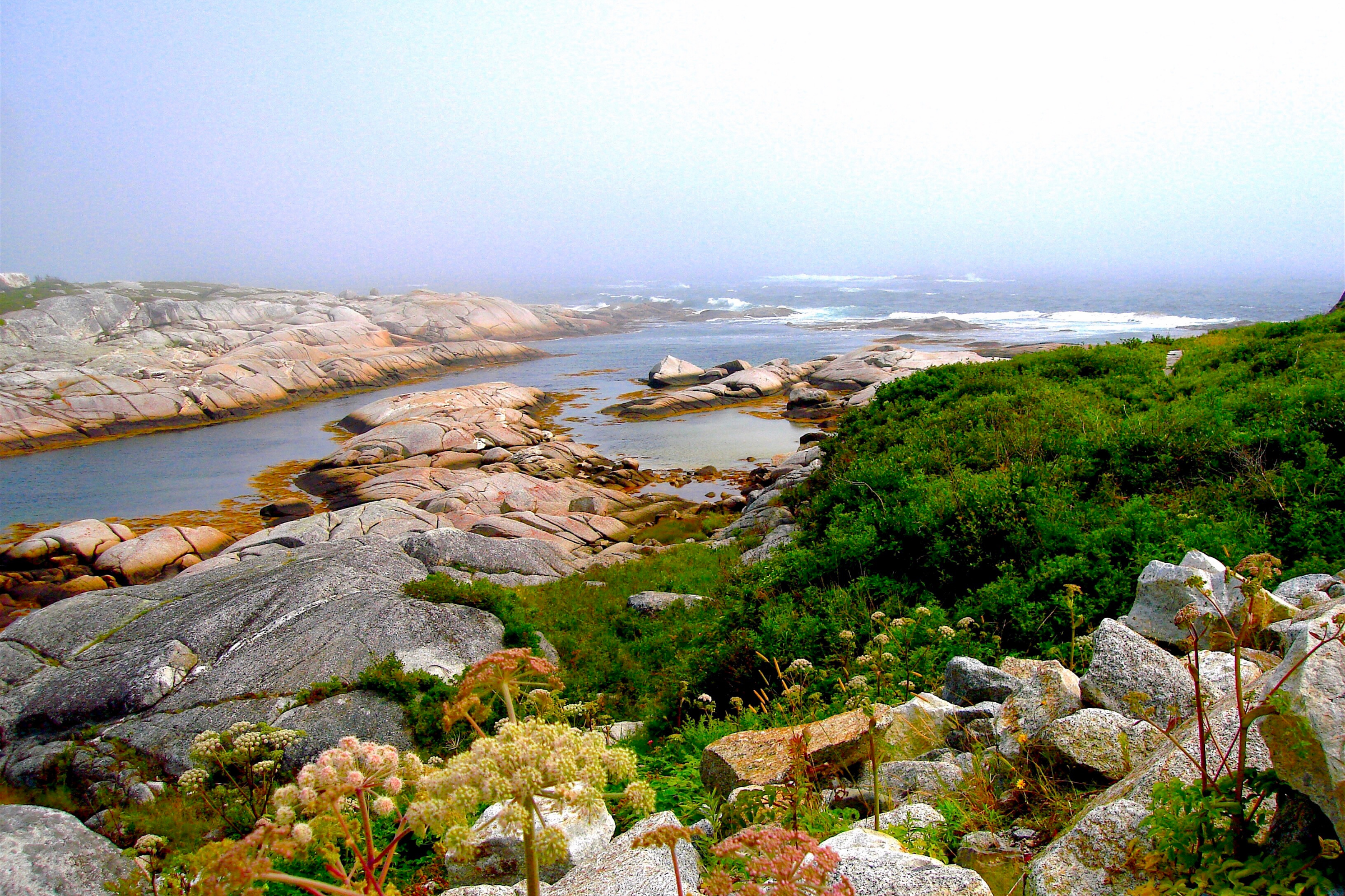 peggys cove, nova scotia.webp